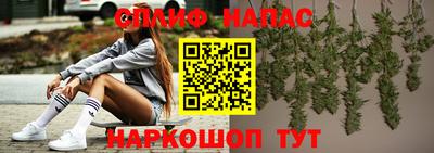 mdpv Гатчина