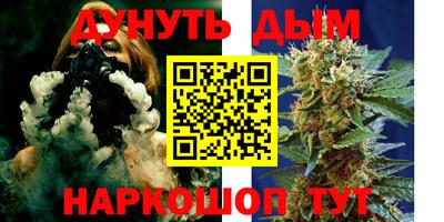 индика Гагарин