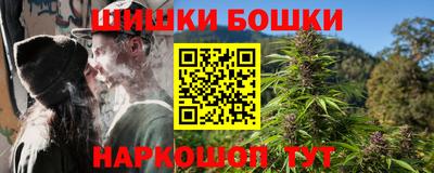 mdpv Гатчина
