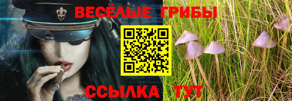 Псилоцибиновые грибы Magic Shrooms  Вход с VPN  Луга 